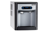 Ice dispenser and guest fridge